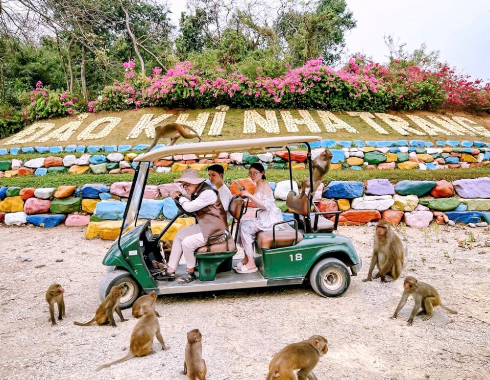 The play area is filled with exciting attractions